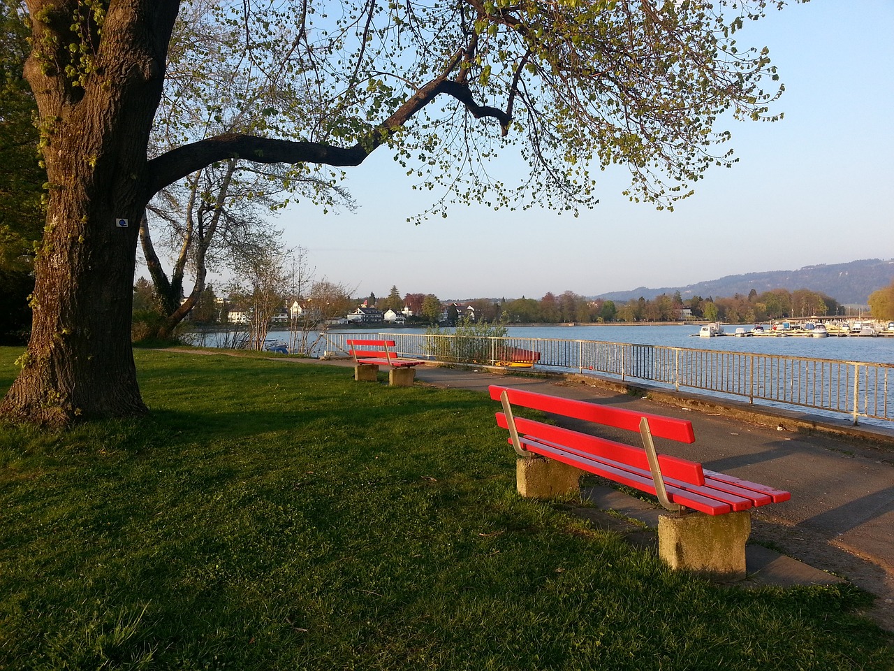 展示他的戰 展示他的戰