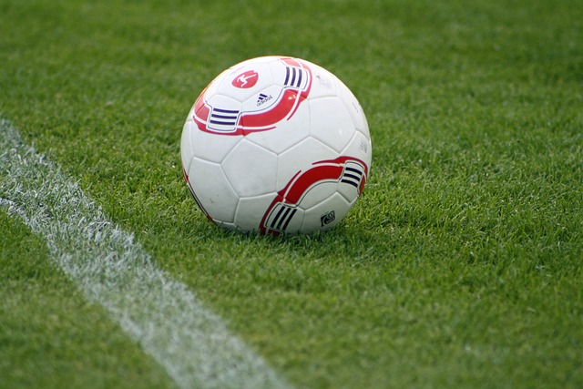 克洛普需要 克洛普需要