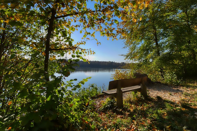 一次验证 一次验证