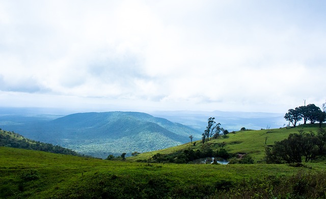 自主崛起的 自主崛起的