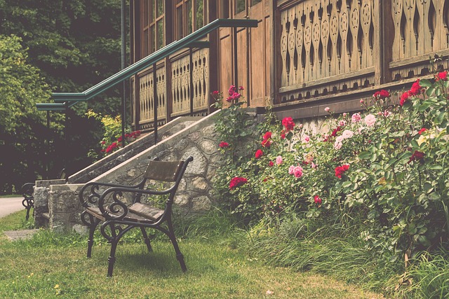 成为了独行 成为了独行