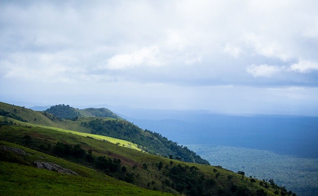 金轮休约基 金轮休约基