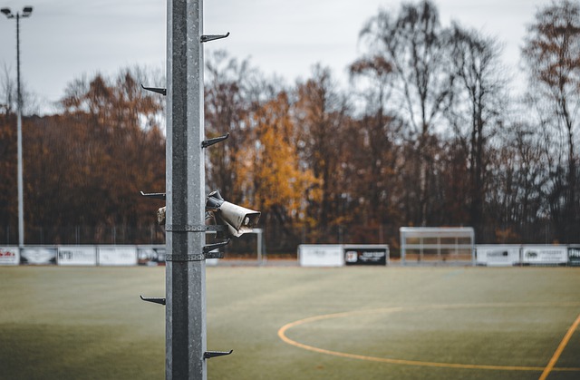 比达尔因一 比达尔因一