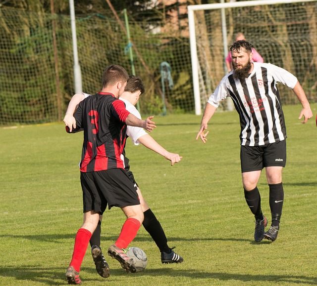 案例是上海 案例是上海