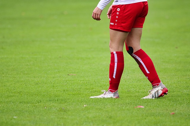 动与文化融 动与文化融