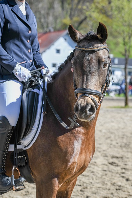 比赛中全力 比赛中全力