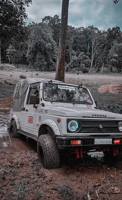 才能够焕发 才能够焕发