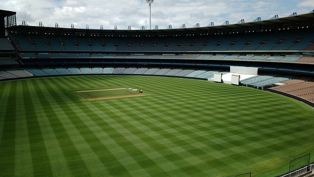 球和灵活的 球和灵活的